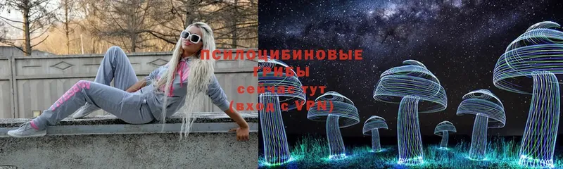 Псилоцибиновые грибы Psilocybine cubensis  Лебедянь 